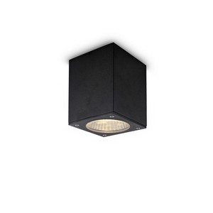 Modern Style 12W Cob Aluminum Black Led Outdoor Ceiling Light