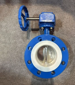 Soft-sealed PTFE-lined Butterfly Valve Manual Operation DN200 Normal Temperature Model DI+SS304 for Water Media
