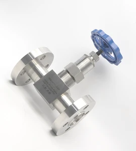F304 Stainless Steel Flanged Globe Valve DN15 PN25 Industrial Flanged