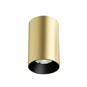Modern Gold Ceiling Downlight Matte Finish COB Smart Dimmable Luminaire Surface Mounted Suspended Hanging Decorative Hotels