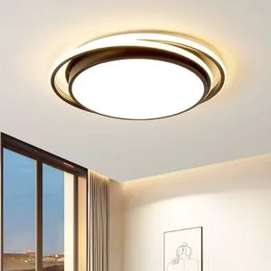 Living Room LED Ceiling Light Simple Modern Dimmable Switch Control Daylight Study Creative Lighting Metal Acrylic