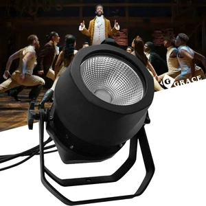 Igreslite Professional Outdoor 200W COB LED Par Light Warmwhite/Coolwhite 3200-5600K Waterproof DMX512 LED Stage Light