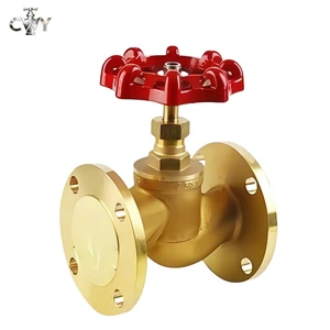 Manual Flanged Globe Valve J41W-16T | Brass Steam & Hot Water Service Valve
