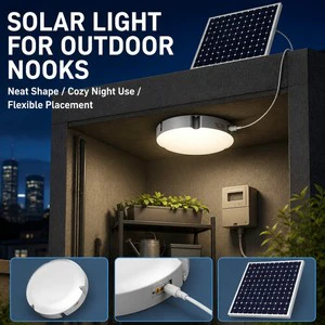 Simple Mount Solar Powered Ceiling Lamp Shockproof Waterproof Outdoor Indoor Light for Entryway Veranda Garage