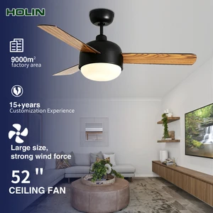 Factory Top Selling 38 Inch Modern Decorative Plywood Blade Remote Control Bldc Led Ceiling Fan With Light