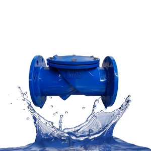 Rubber Flap Check Valve H44x-16q Anti Backflow Reverse Water Valve Flange One-way Check Valve
