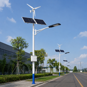 Wind Solar Hybrid LED Street Light 100W IP65 Waterproof All-in-One Outdoor Lamp for Road Parking Lot