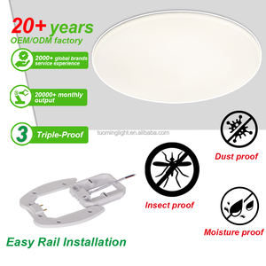 Triple-Proof Ceiling Light Dustproof Moistureproof and Insect-proof Led Ceiling Light With Driver Ceiling Lighting