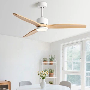 Oem Reasonable Price Ceiling Fan with Chandelier Remote Control 3CCT LED Indoor Ceiling Fan with Light