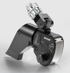 SDW8 10000 psi 2-1/2\