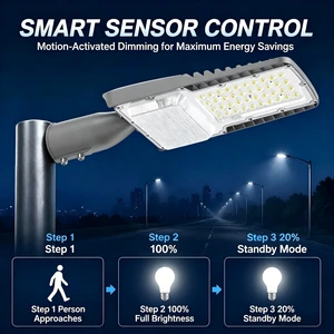 Microwave Motion Sensor LED Street Light 150W 200W Auto On/Off Dimming 20%-100% Outdoor Lighting For Parking Lot Pathway