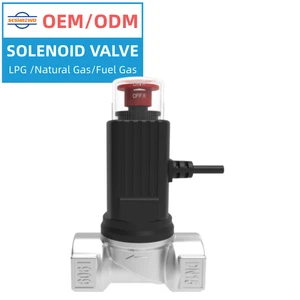 SHIELD Solenoid Valve 9V~12V DN15 20 25 IP65 Aluminium Alloy Combustible Gas Solenoid Shut Off Valve With Valve Manufacturer