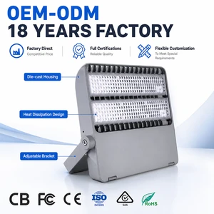 Industrial Floodlight LED Tunnel Light IP65 50W 100W High Brightness Road Tunnel Lamp for Highway Subway 5-Year Warranty CRI80