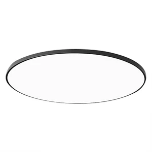 Modern Minimalist Tri Proof LED Ceiling Light for Home Living Room and Hallway Moisture Proof Dust and Insect Proof