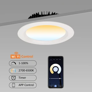 Customizable High Lumen Efficiency APP Control Dimmable LED Flat Downlight 30w For School Shopping Malls