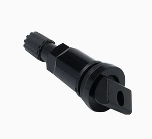 Suitable for Land Rover Hyundai Nissan Geely Haier Honda Black Valve Caps and Aluminum Valve Caps