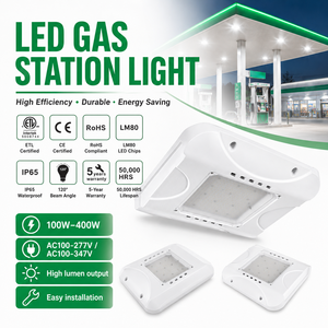 IP65 Waterproof 100-240W LED Canopy Light with ETL Certification and 5 Years Warranty for Gas Station