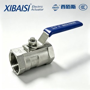 1-Piece Heavy-Duty Stainless Steel Ball Valve, Threaded Connection, Manual Operated, for High Temperature Water Application