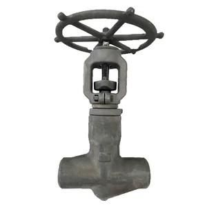 T-Pattern Stainless Steel High Performance Service Proven Technology Designed Critical Service Globe Valve