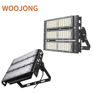 High Efficiency Outdoor LED Tunnel Light Factory Direct Wholesale From Manufacturer for Project Lighting