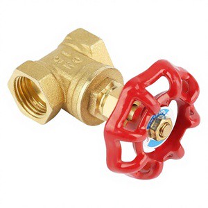 Brass Globe Valve 316 Stainless Steel Bonnet Disc DN15 Port Size General Application Water Manual OEM Customizable Made in China