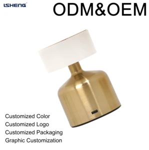 Rechargeable LED Table Lamp Touch Control 3CCT Stepless Dimming Cordless Metal Bedside Desk Lamp