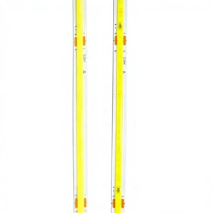 DLT New Design Spotless White Bridge Rectifiers AC110V 220V IP44 Cob LED Tape Flexible Lighting Copper Lamp Body 3000K-6000K