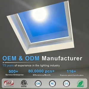 Coelux Artificial Skylight Faux Smart Tuya Sunlight Blue Sky LED Ceiling Panel Light for Indoor House