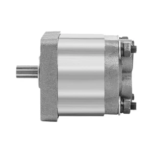JinDing China Hydraulic Gear Pumps 250 Bar High Pressure Micro Pump for Heavy Duty Loader Crane 1 Year Warranty 0.5hp