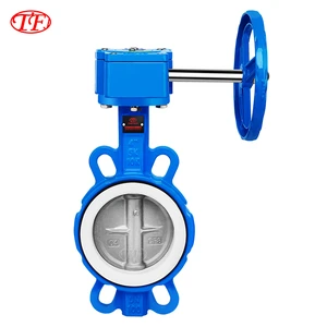 TF DN40-1200 Worm Wheel Wafer butterfly Valve PTFE CF8M SS316 Disc Cast Iron Soft Sealing Center Line Wafer butterfly Valve