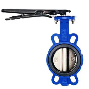 Soft-Seated Butterfly Valve (Ductile Iron / Stainless Steel) Lever / Worm Gear Operated