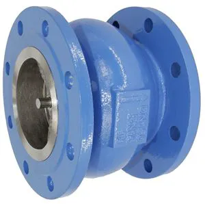 Globe Style Silent Check Valve