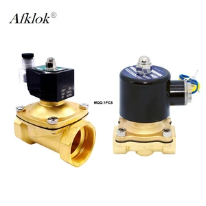 2W Electric Water Switch Valve AC220/110/24V DC24/12Volt Arduino Controlled Water Valve Brass Solenoid Valve Size 1/8