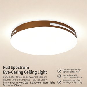 High Quality Fashion Style Decorative Home Lighting Home Office Modern Design Round Led Metal Pendant Ceiling Lamp