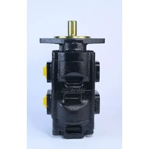 Sapricon Industrial Hydraulic Pump for High Rate & Durability with Custom Logo Safe Packing