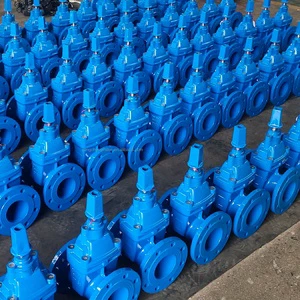 Bs5163 Flanged Resilient Seated 100MM Non- Rising Stem Direct Buried Underground Gate Valve for Water