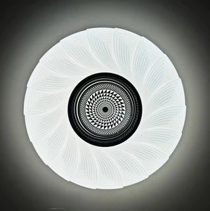 ETL Certified 20W LED Ultra-Thin Ceiling Lamp for Bedroom Contemporary Acrylic Cover Iron Base AC Power Temperature Control