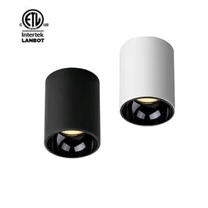8 Inch LED Architectural Cylinder Downlight ETL IC Rated Surface Mount Dimmable DALI 0-10V CRI>90 IP65 Commercial