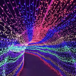 Decorative Street LED Tunnel String Rope Lights Manufacturers for Scenic Music Festival