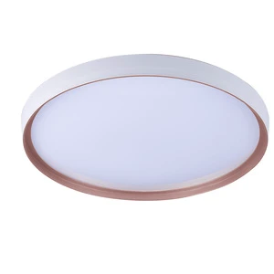 Hot Sale Slim Panel Lamp Round 3CCT 110-240v 44W Moisture Proof Dust Proof Mosquito Proof Hotel or Housing Modern Ceiling Lights