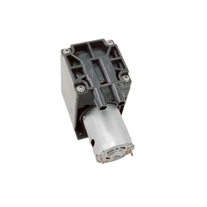 Feiyinsi S5012-20A-2900 DC Mini Water Pump 2L min 20Kpa Self Priming Low Noise 6V 9V 12V 24V OEM
