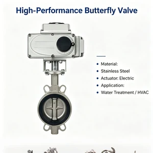 Flange Type Small Electric butterfly Valve with Cast Iron Valve Body Half Piece Connection Soft Seal Suitable for Water Medium