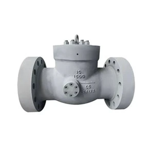 Flanged Check Valve.