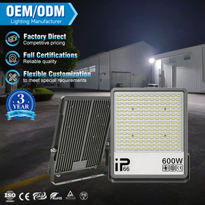 Professional Factory DOB 30W 50W 100W 150W 200W 300W 400W 600W IP66 Waterproof AC 85V 265V Outdoor LED Flood Light