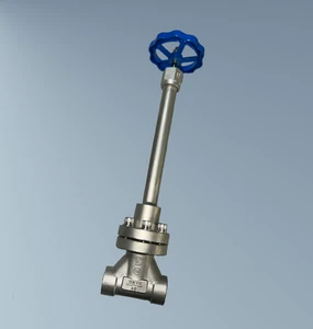 Industrial Stainless Steel Cryogenic Globe Valve LNG Low Temperature Pipelines Leak Proof Sealing Corrosion Resistance