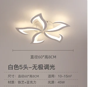 2024 New Creative LED Ceiling Lamp for Home Simple Modern Atmosere Personality Lamps Lanterns Surface Mounted AC Power Source