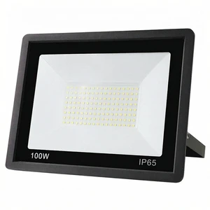 Factory Wholesale 6500K SMD2835 LED Flood Light Black IP65 Outdoor Aluminum Body 100 Beam Angle 10W/100W/600W 100-265V