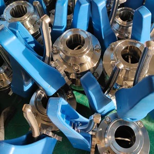 300 Series Manual Stainless Steel Butterfly Valve for Water