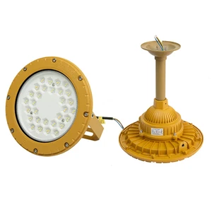 50W/70W/100W Round LED Explosion-proof Flood Light IP66 Waterproof Outdoor Industrial Lighting Exde MB IICT6 GB