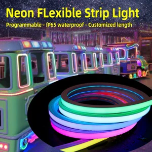 TRX Waterproof 24v Rgb Fullcolor Programmable Lamp Tube Silicone Rope Strip Flex Led Neon Light for Outdoor Decoration